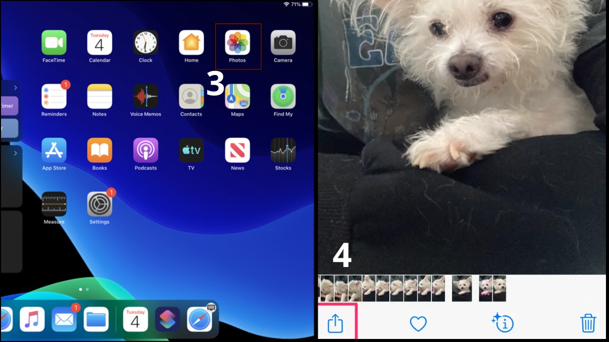 Cách kết nối iPad với máy in qua USB bằng Adapter / Hub bước 2