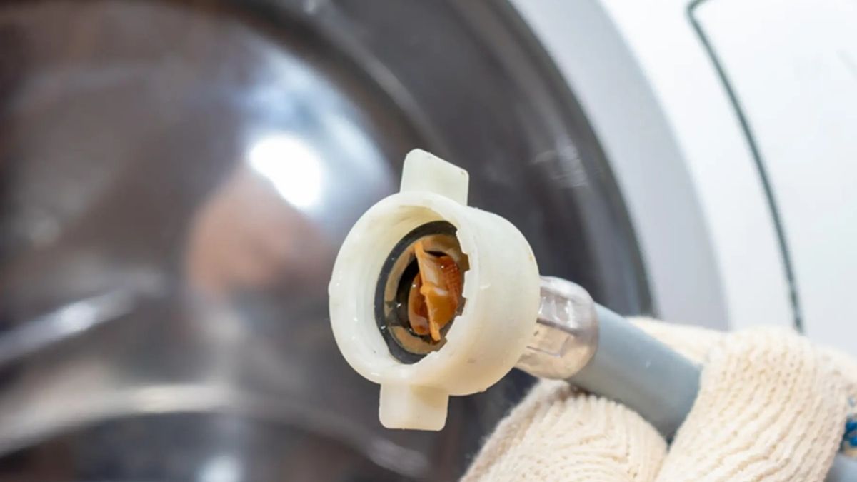 Nguyên nhân gây lỗi EF4 máy giặt Electrolux - lưới lọc đầu vào bị bẩn