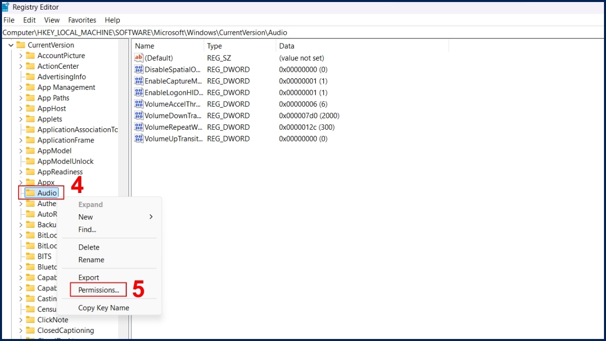 Cách khắc phục lỗi Speakers Not Plugged In Win 10 bằng thêm network service bước 3