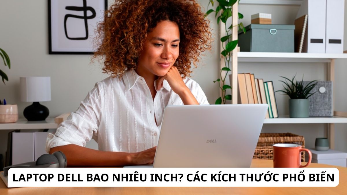 Laptop Dell bao nhiêu inch? Các kích thước phổ biến