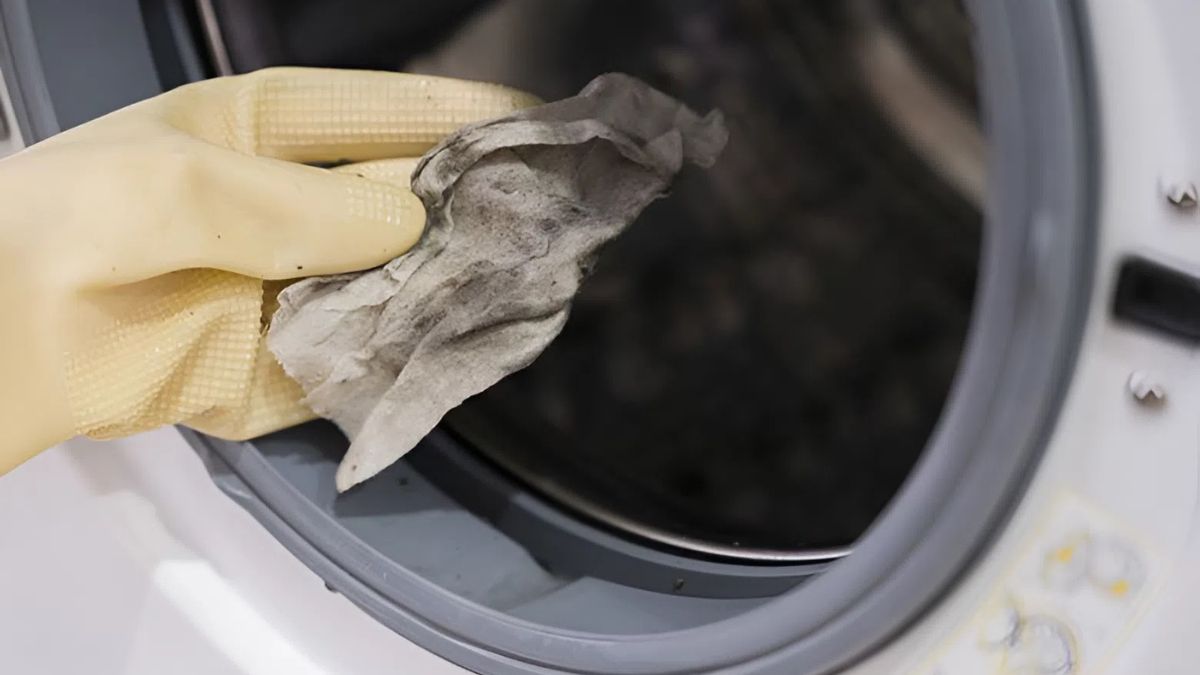 Nguyên nhân khiến máy giặt có mùi hôi