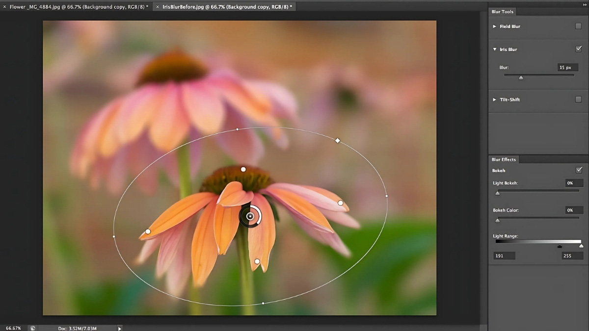 Ứng dụng thực tế của Opacity là gì?