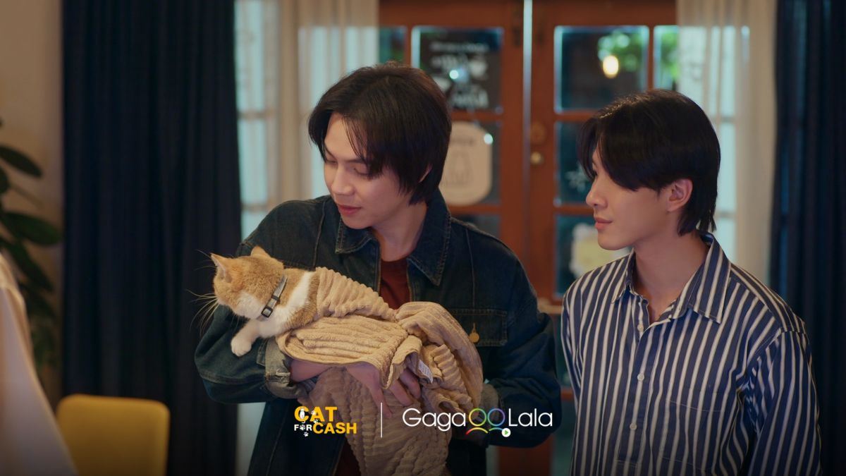 phim tình cảm thái lan - Đổi Tình Lấy Mèo