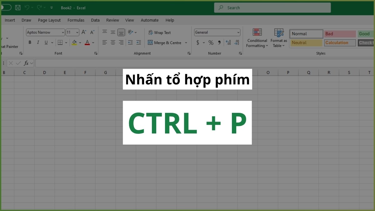Print Preview trong Excel bước 1 tiếp theo