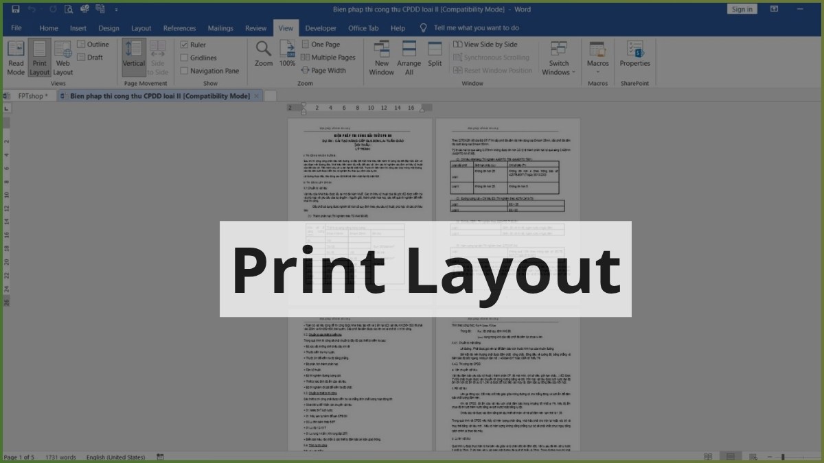 So sánh Print Preview và Print Layout