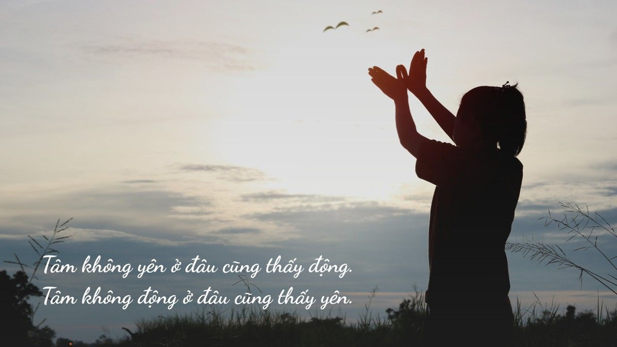 STT chữa lành cuối tuần tích cực
