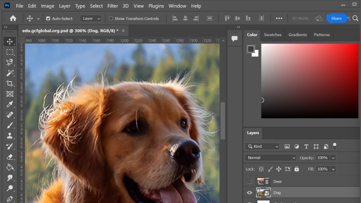 Lợi ích của việc tạo viền ảnh trong Photoshop