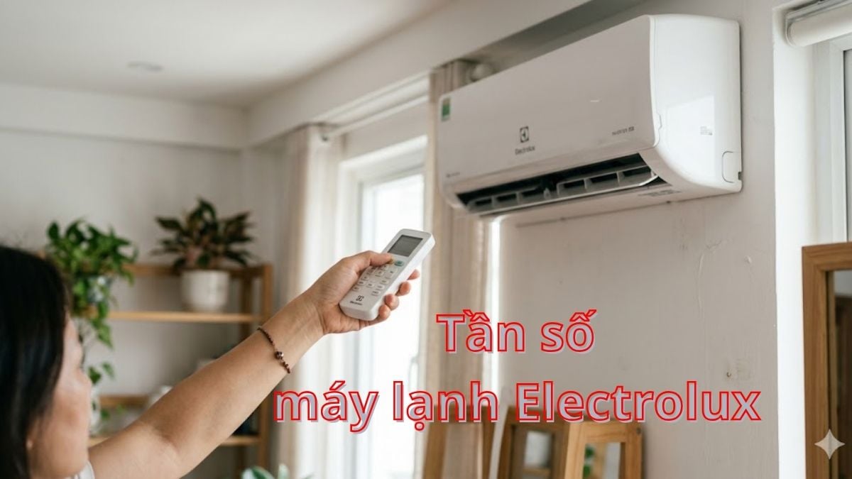 Tần số máy lạnh Electrolux là gì? Ý nghĩa và cách kiểm tra