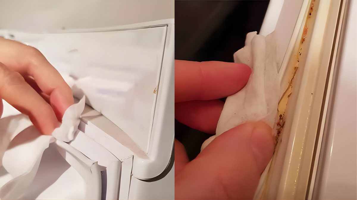 khắc phục tủ lạnh bị đóng tuyết ngăn mát không lạnh bằng kiểm tra gioăng cửa