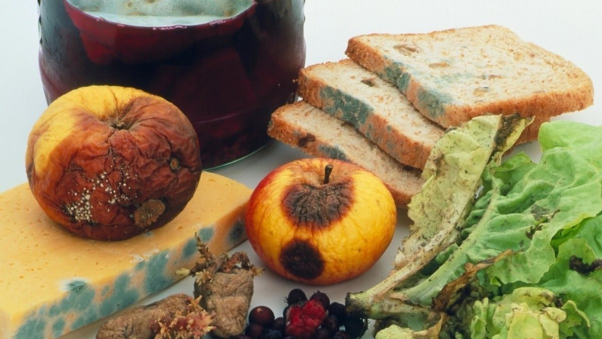 Nguyên nhân phổ biến khiến tủ lạnh có mùi hôi - thực phẩm hỏng