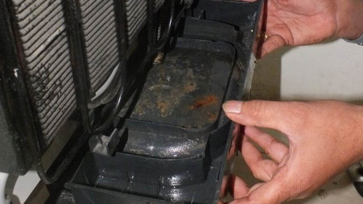 Nguyên nhân phổ biến khiến tủ lạnh có mùi hôi - khay thoát nước bị bẩn