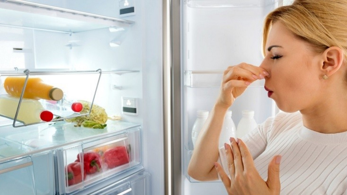 Nguyên nhân phổ biến khiến tủ lạnh có mùi hôi - ít vệ sinh định kỳ