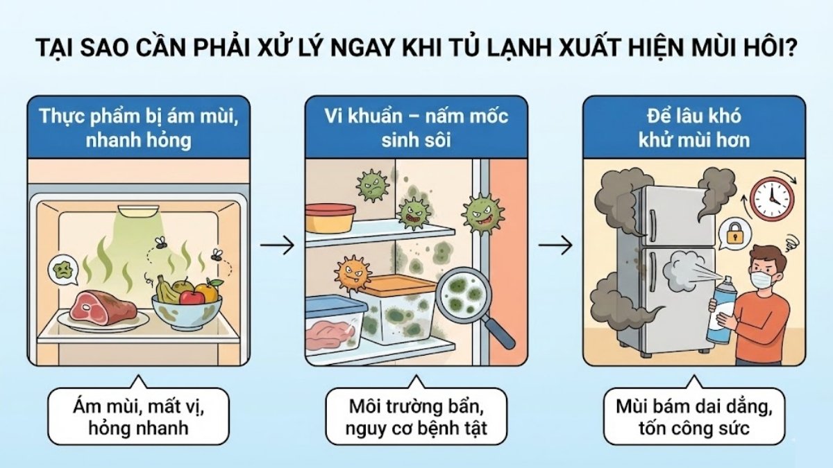 Tại sao cần phải xử lý ngay khi tủ lạnh xuất hiện mùi hôi?