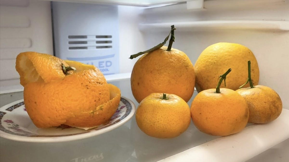 cách khử mùi tủ lạnh có mùi hôi bằng vỏ cam, quýt