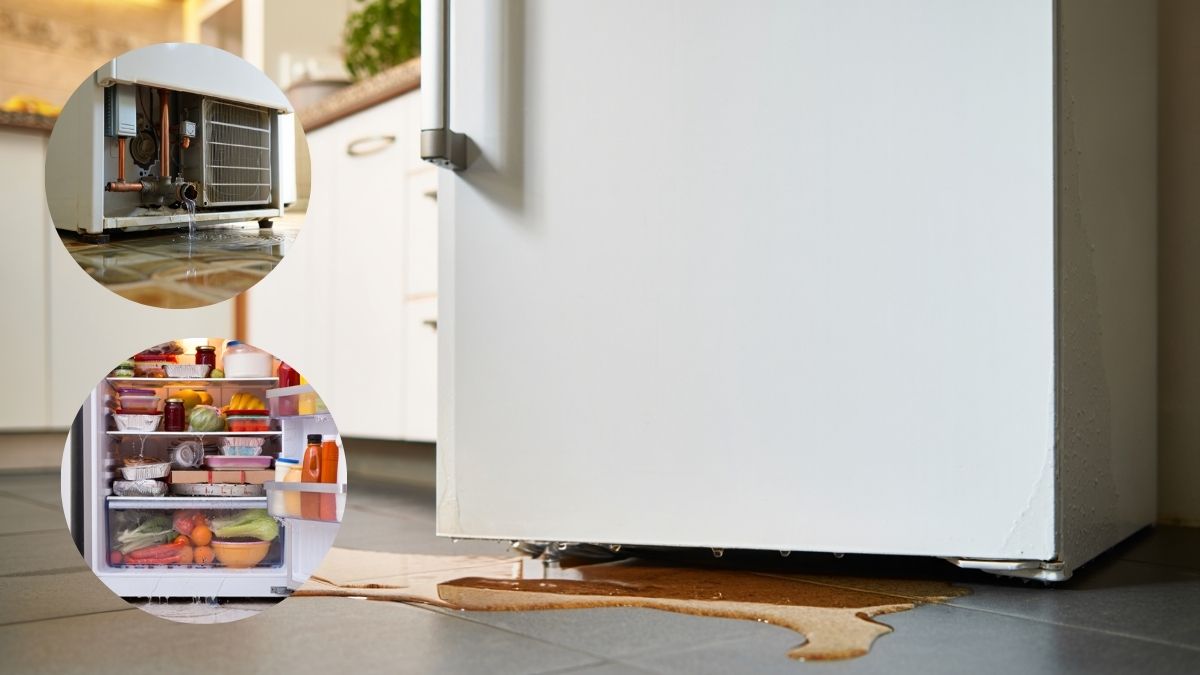 Nguyên nhân phổ biến khiến tủ lạnh chảy nước phía sau