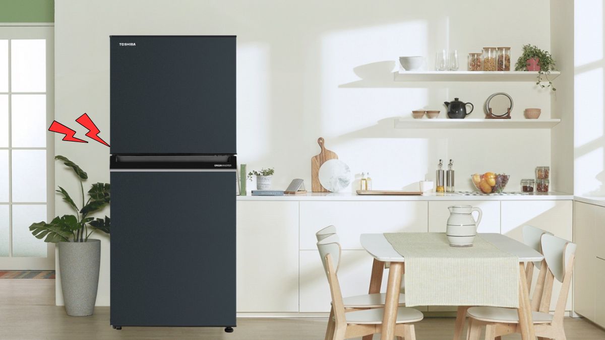 Những tiếng kêu bất thường cần chú ý - tiếng kêu to đột ngột