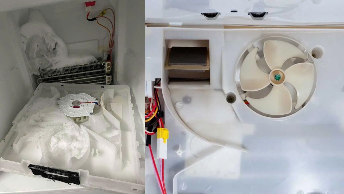 Nguyên nhân khiến tủ lạnh kêu to ở ngăn đá - quạt gió bị kẹt