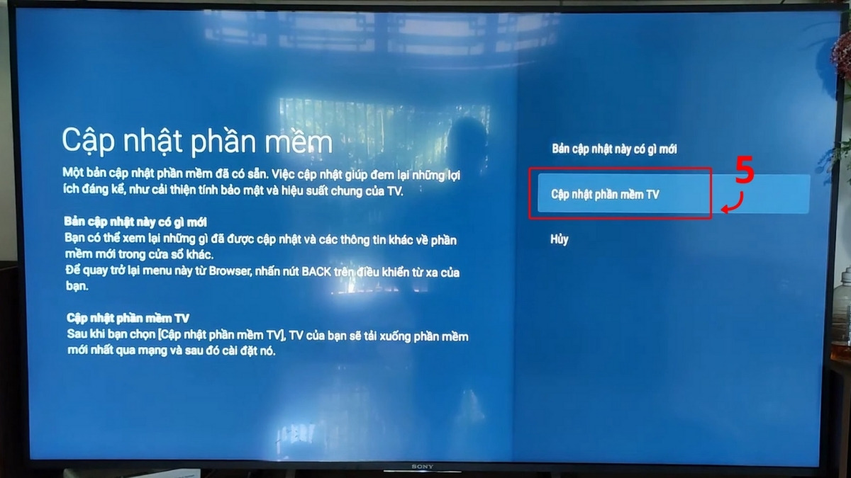 Cập nhật phần mềm tivi Sony bước 5