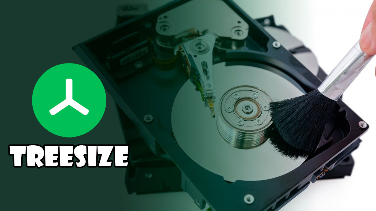 TreeSize là gì? Phần mềm kiểm tra dung lượng ổ đĩa hiệu quả