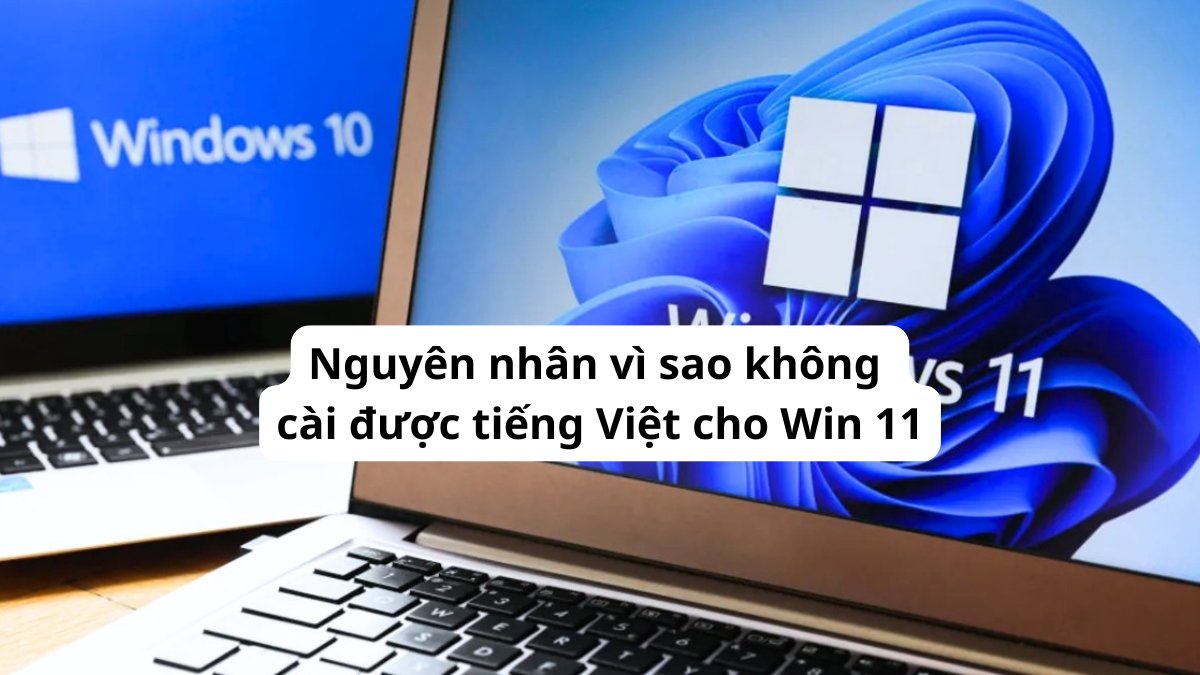 Nguyên nhân vì sao không cài được tiếng Việt cho Win 11