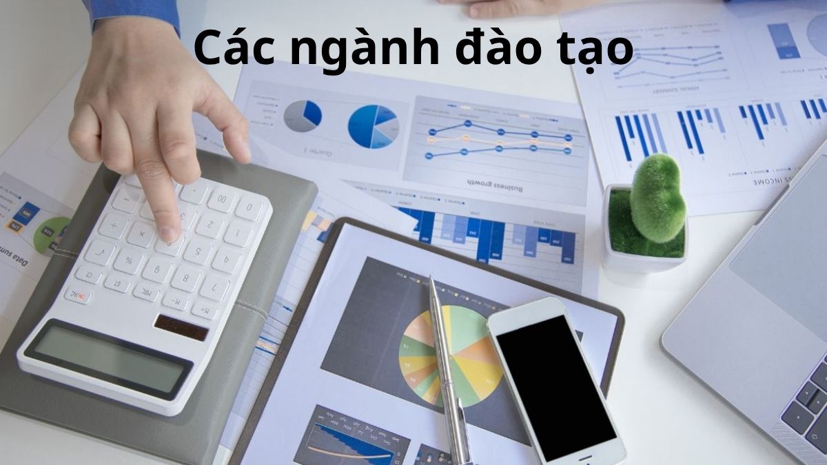 Các ngành đào tạo tại RMIT và yêu cầu đầu vào tương ứng