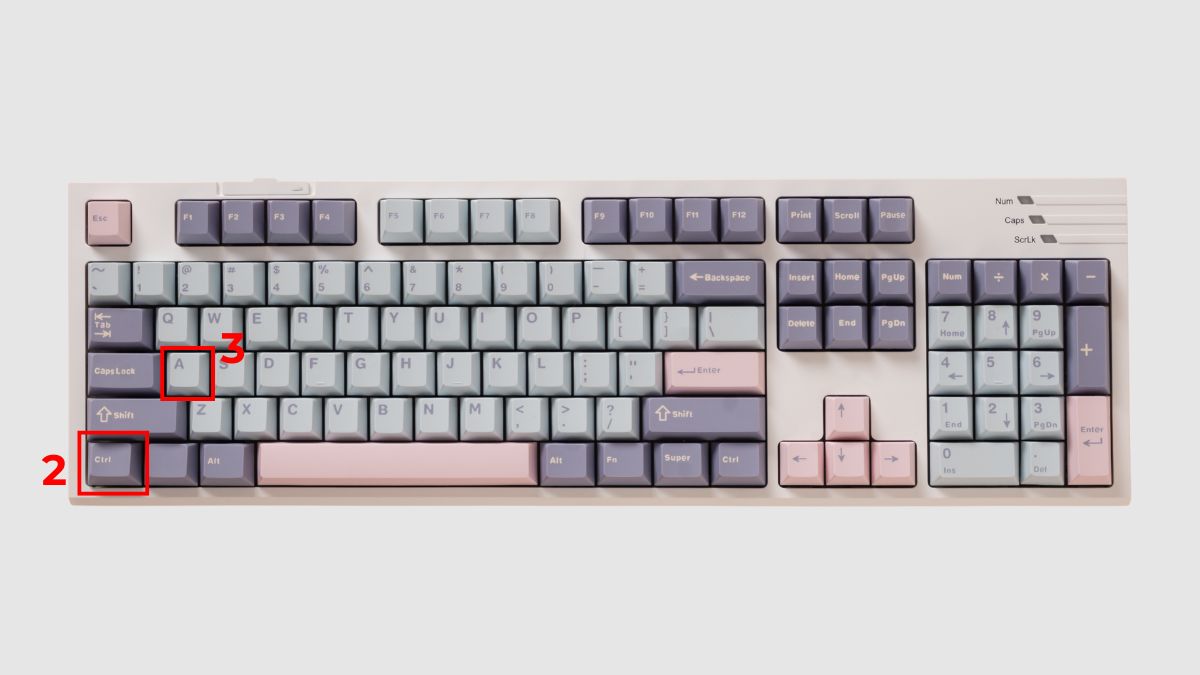 Bôi đen toàn bộ Header, Footer, Textbox