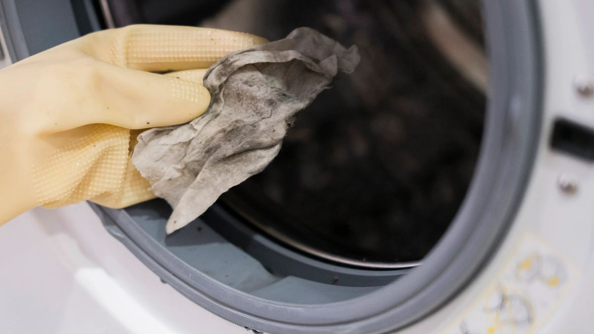 Quá lâu không vệ sinh khiến cặn bẩn bám chắc vào máy giặt