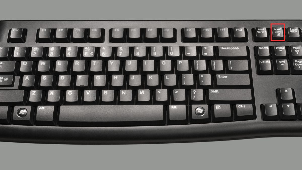 Vùng chọn bị nhảy sai