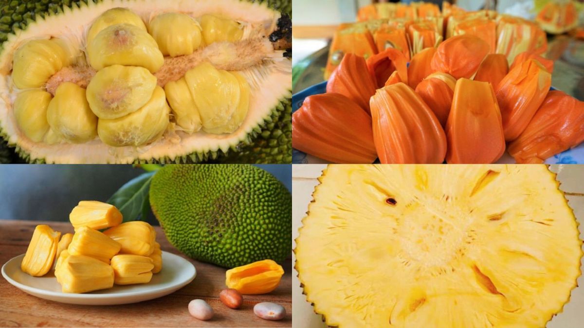 Dấu hiệu nhận biết mít đã bị hỏng