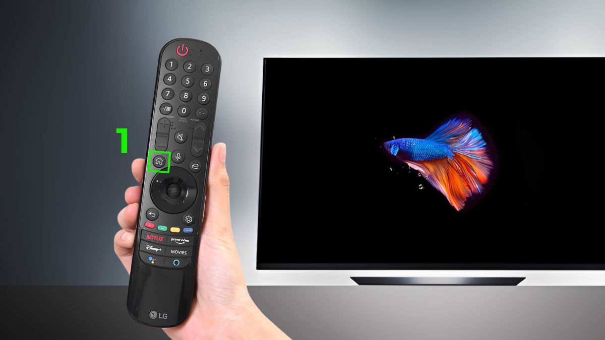 Cách cài đặt âm thanh trên tivi LG khi hát karaoke