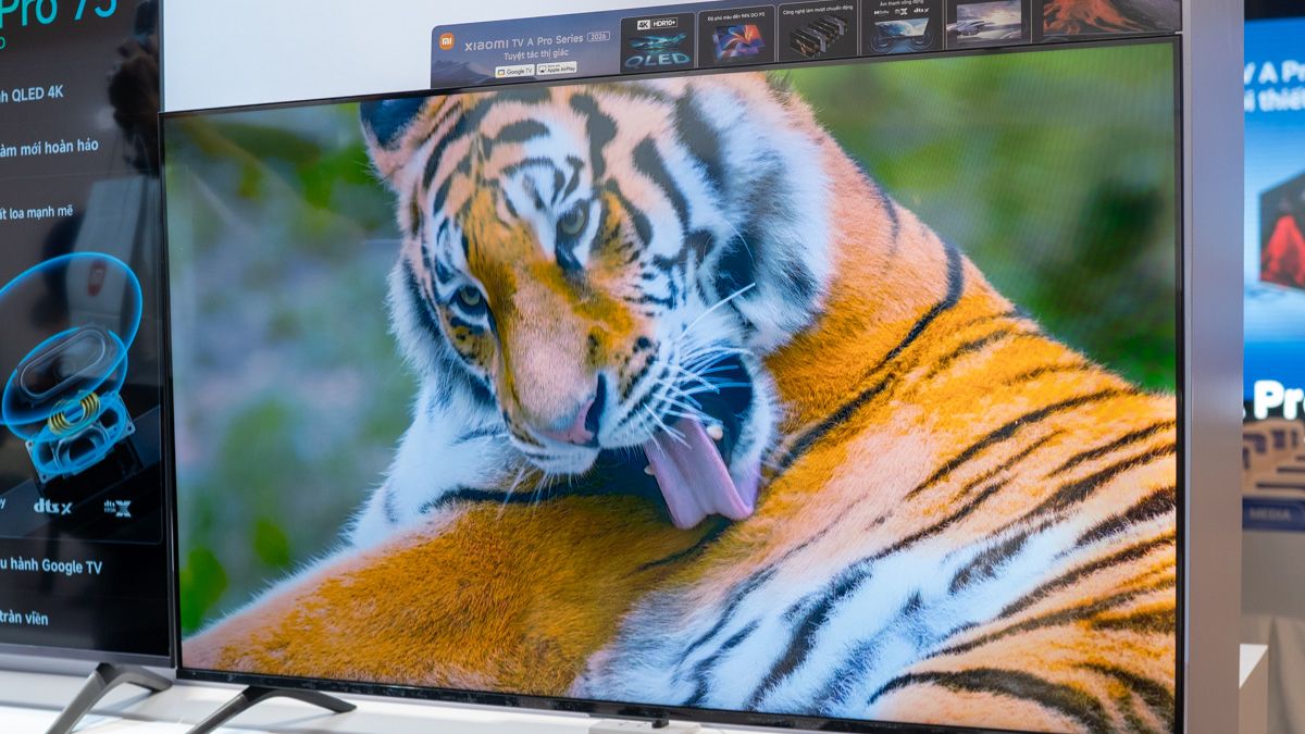 Xiaomi TV (Android TV/Google TV)