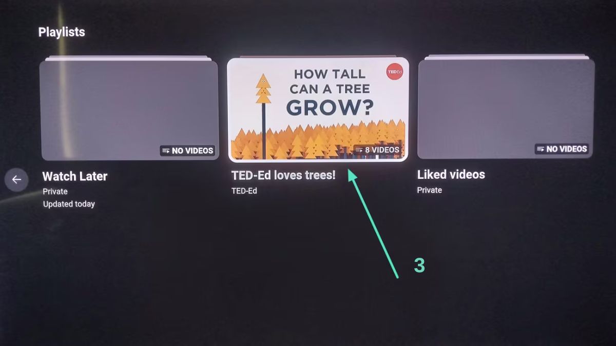 Cách lặp lại cả danh sách phát (Playlist) trên tivi