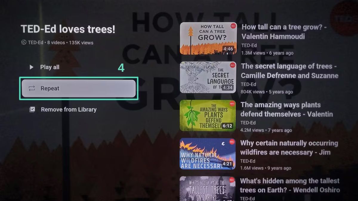 Bật chế độ lặp playlist