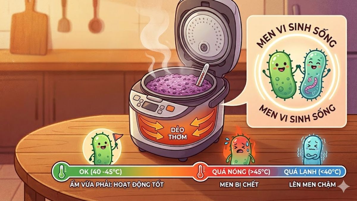 Kiểm soát nhiệt độ khi làm sữa chua