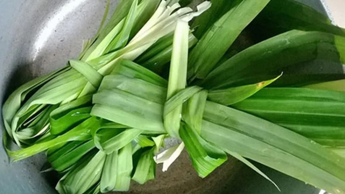 Nguyên nhân và cách xử lý khi xôi mất mùi thơm đặc trưng