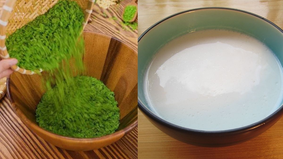 Trộn hỗn hợp cốm tươi