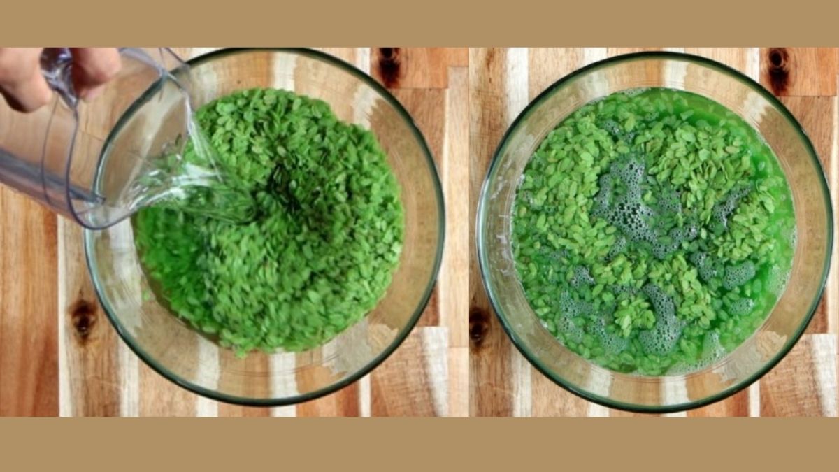 Ngâm và bù ẩm cho cốm nếu nấu xôi cốm từ cốm khô