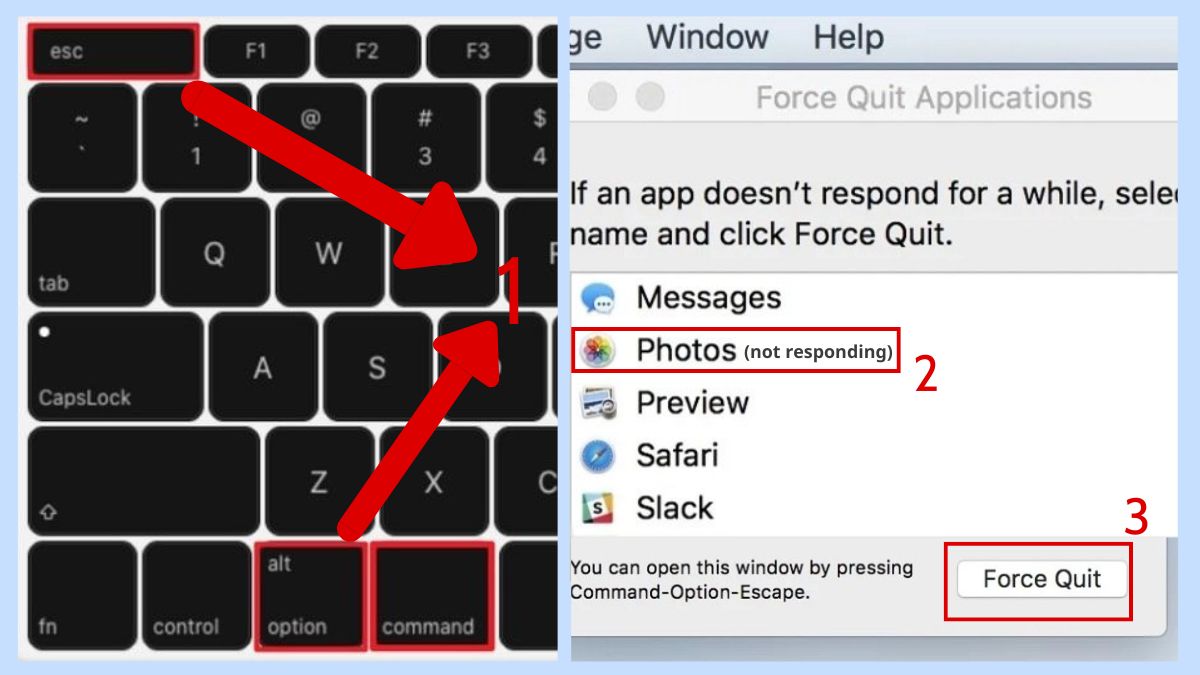 Buộc dừng ứng dụng bị treo để làm mới Mac hiệu quả