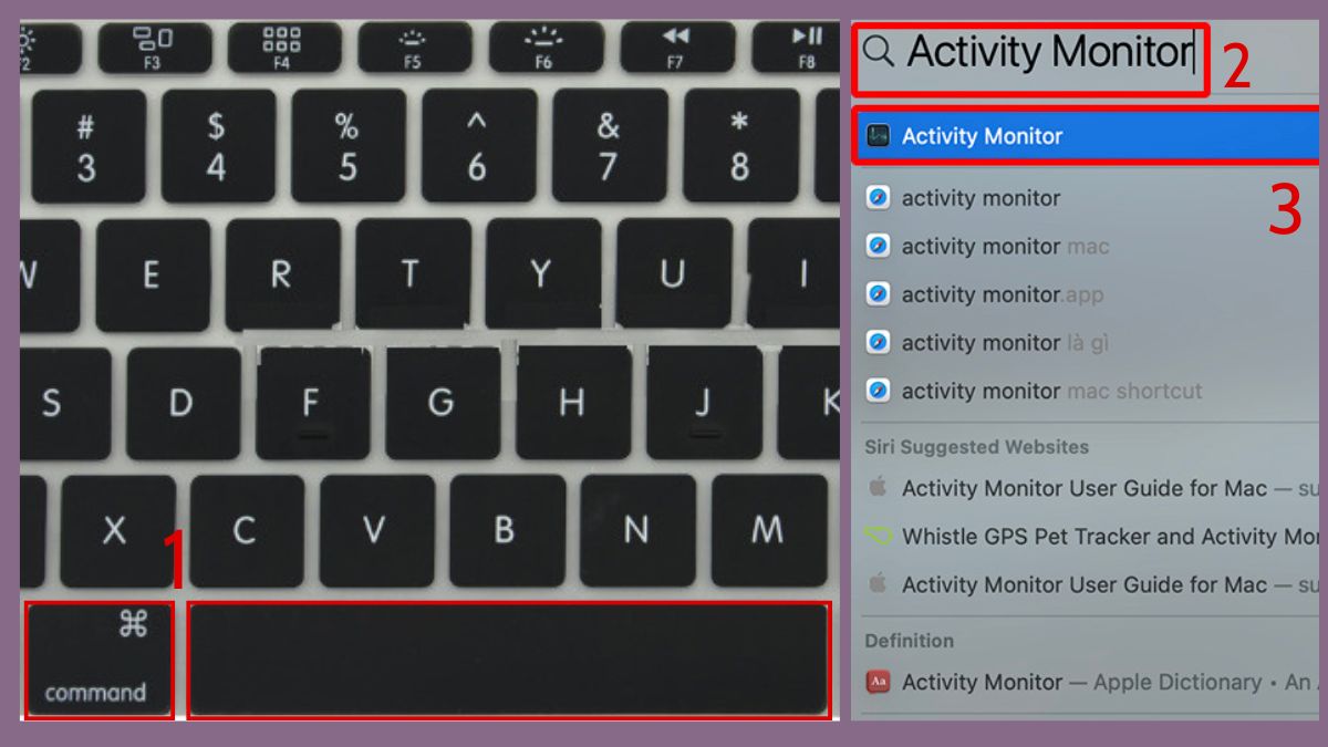 Không thể Force Quit ứng dụng