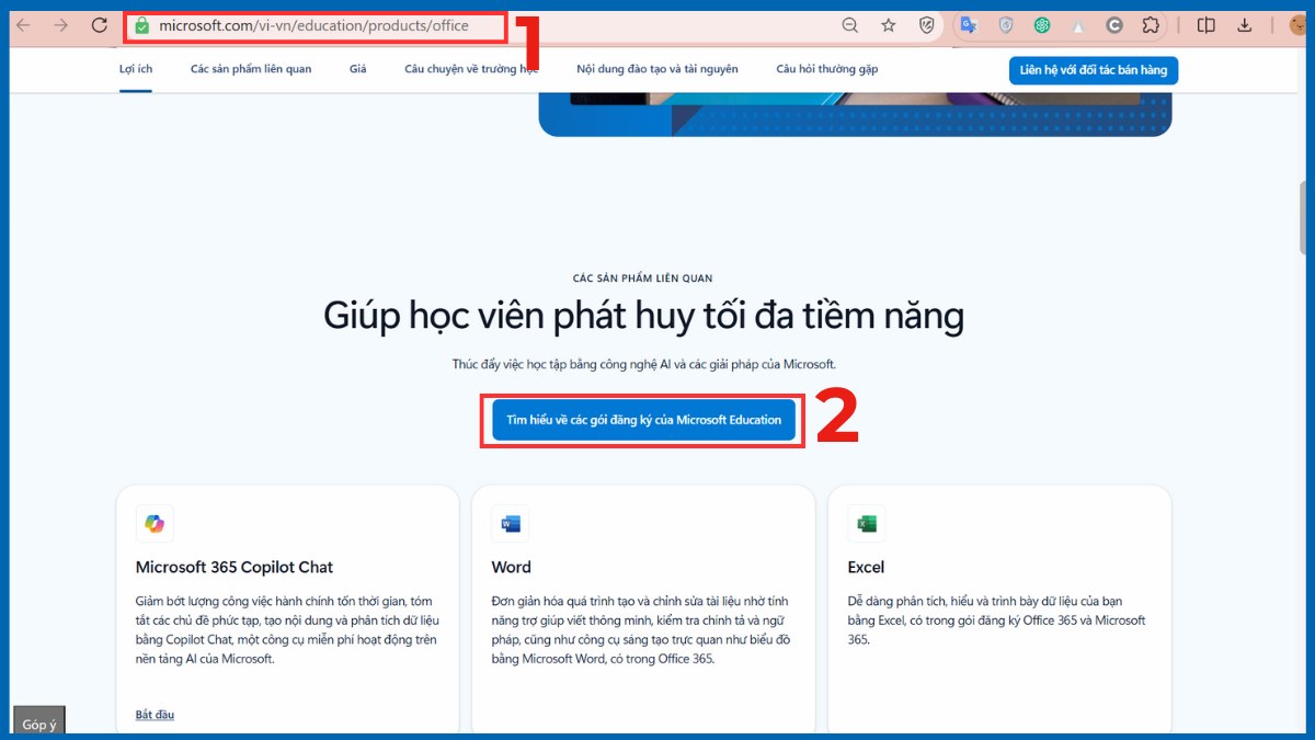 Cách tải Word theo gói sinh viên - học sinh