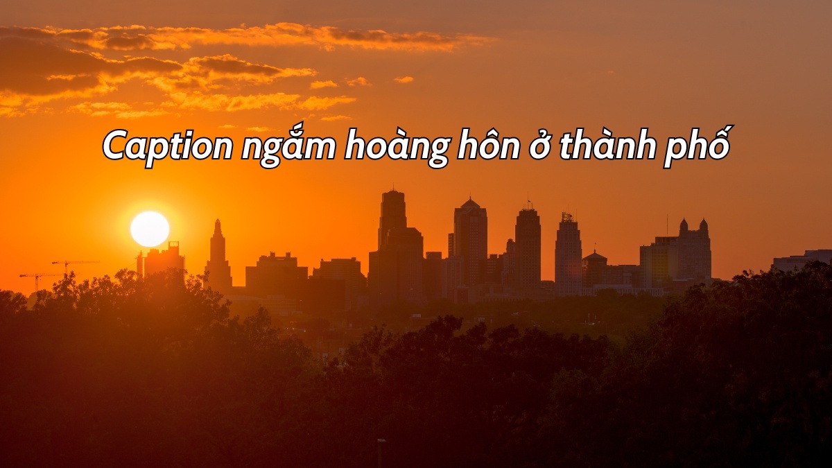 Câu nói hay về hoàng hôn ở thành phố