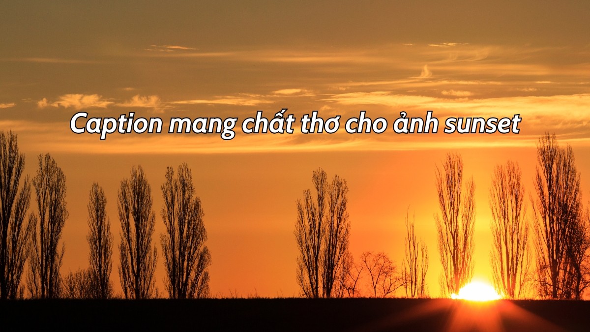 Caption mang chất thơ cho ảnh sunset
