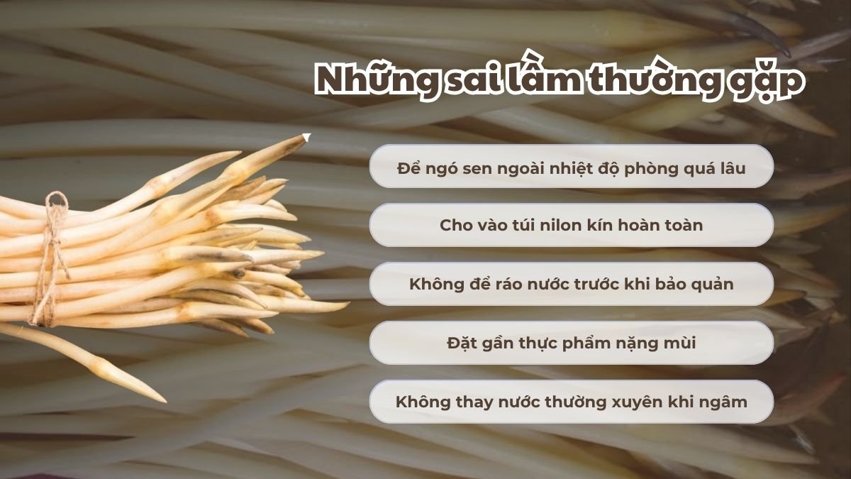 Những sai lầm thường gặp khi bảo quản ngó sen