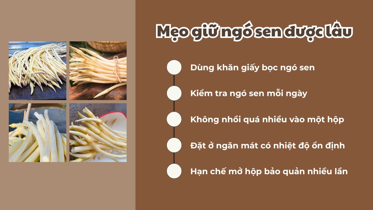 Mẹo giữ ngó sen được bảo quản lâu trong tủ lạnh