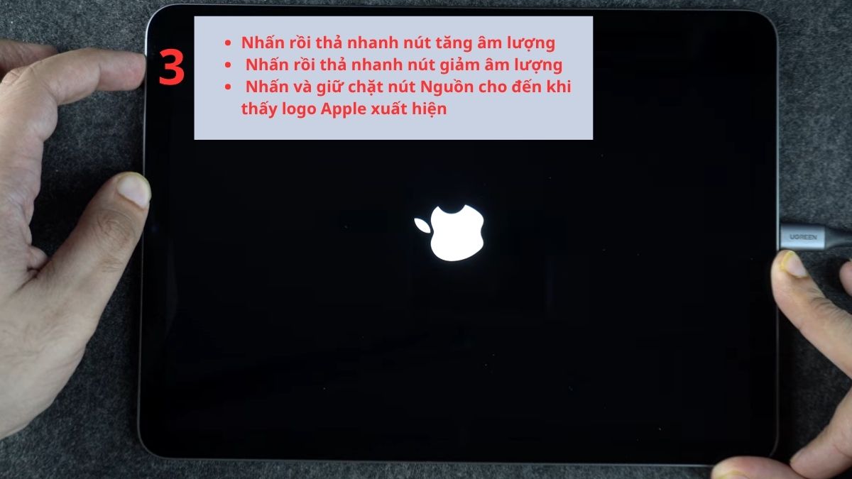 Sử dụng máy tính để sửa lỗi treo táo sâu