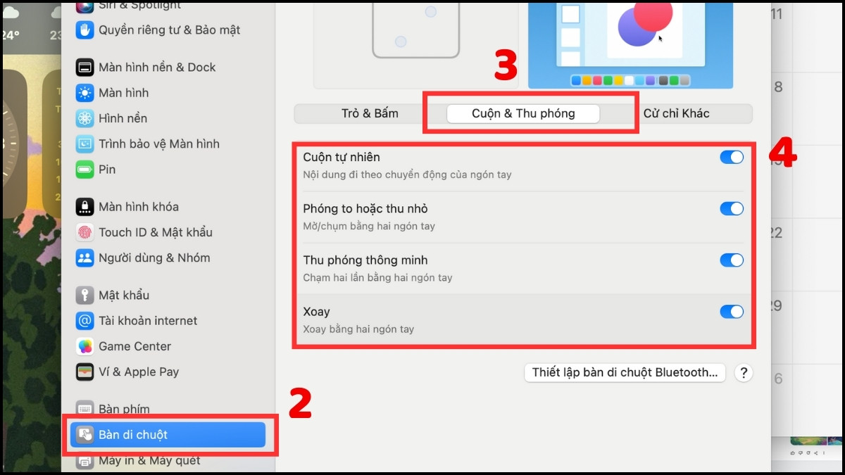 Kiểm tra lại cài đặt touchpad trên máy cho MacOS