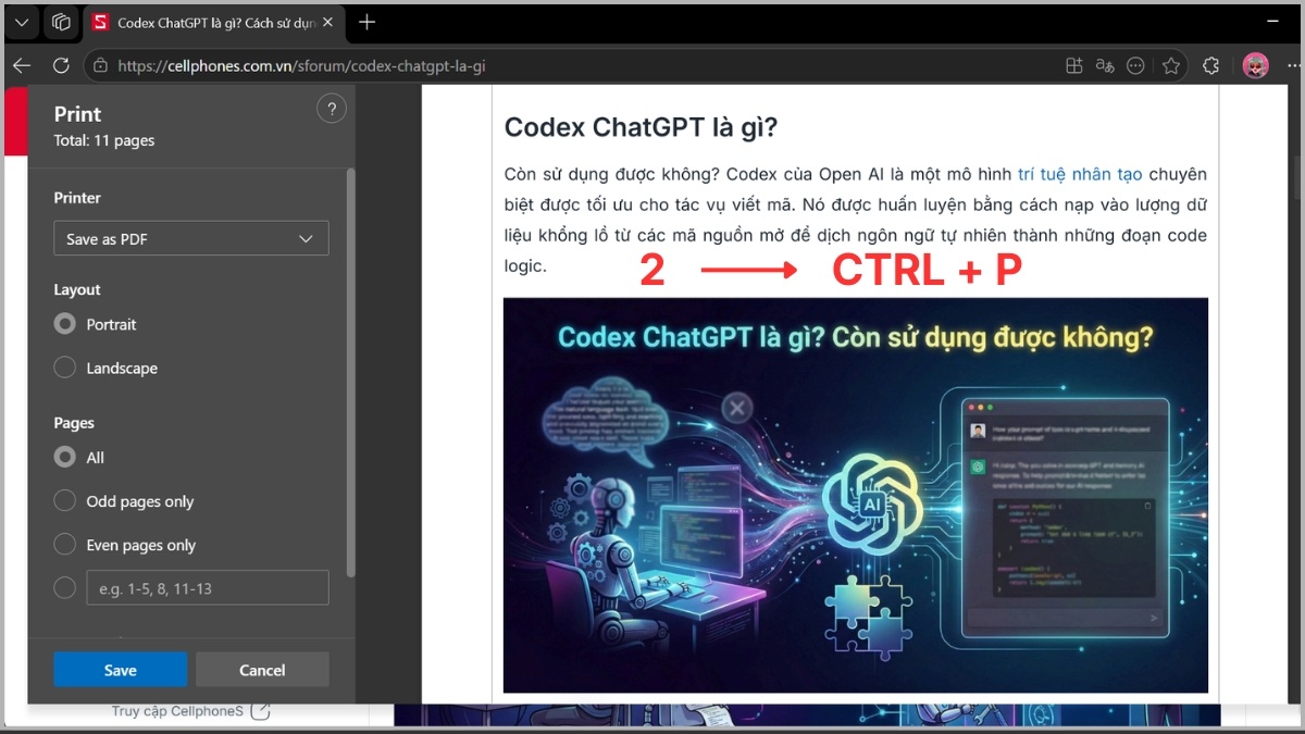 Cách in current page trên Trình duyệt