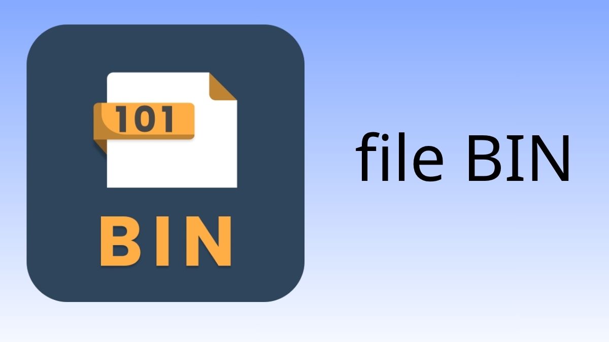 Định nghĩa của file BIN là gì