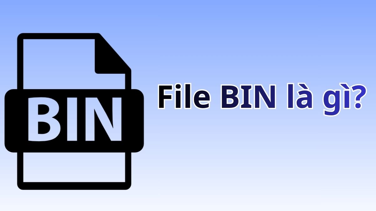 File BIN là gì? Những điều cần biết về định dạng file BIN