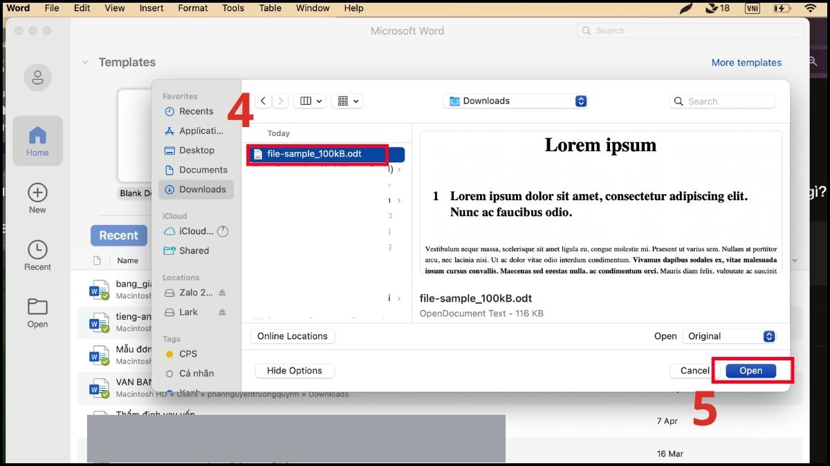 Mở file ODT bằng Word và phần mềm đọc đuôi ODT